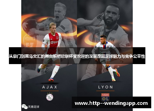 从豪门到黑马交汇的舞台解析欧联杯受欢迎的深层原因足球魅力与竞争公平性